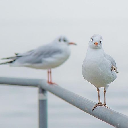 MeerZeit - maritime FeWo in Timmendorfer Strand Exterior foto