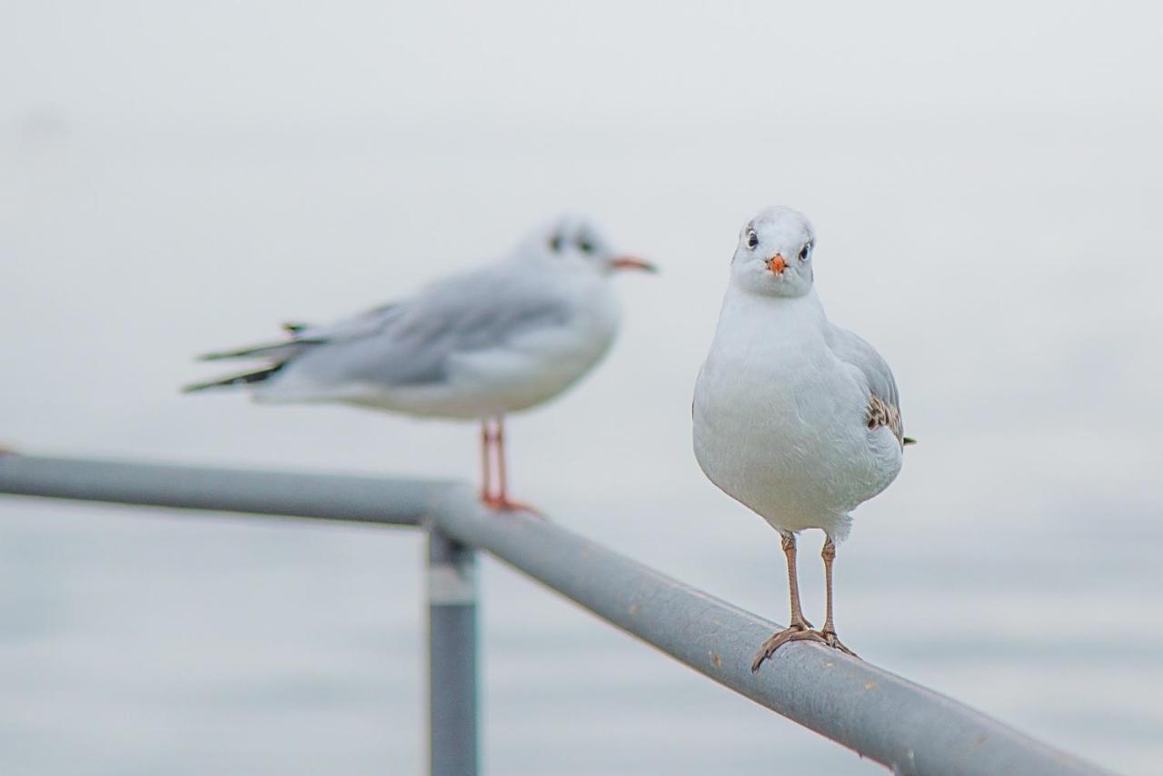 MeerZeit - maritime FeWo in Timmendorfer Strand Exterior foto